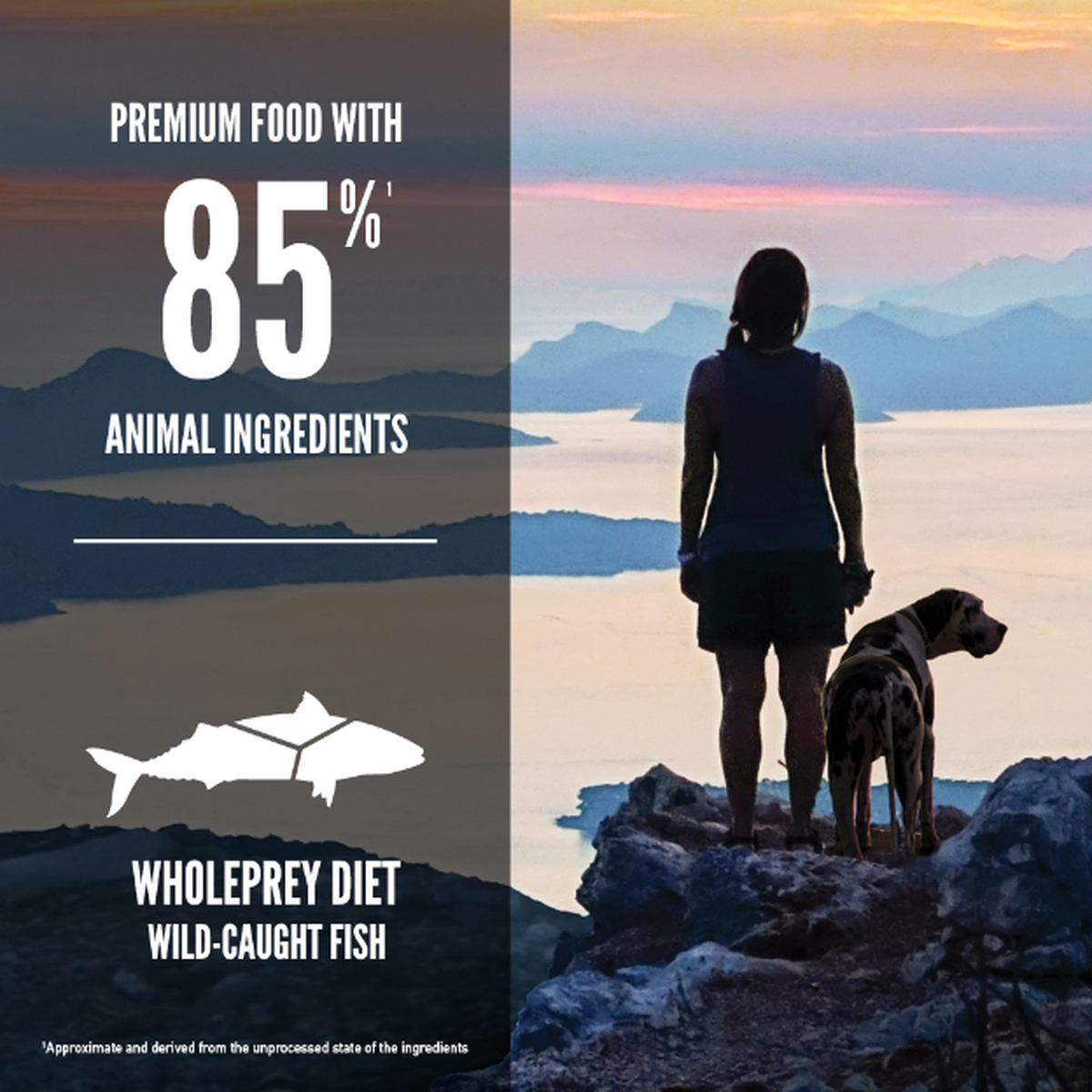 ORIJEN Six Fish Dry Dog Food – official product image 3