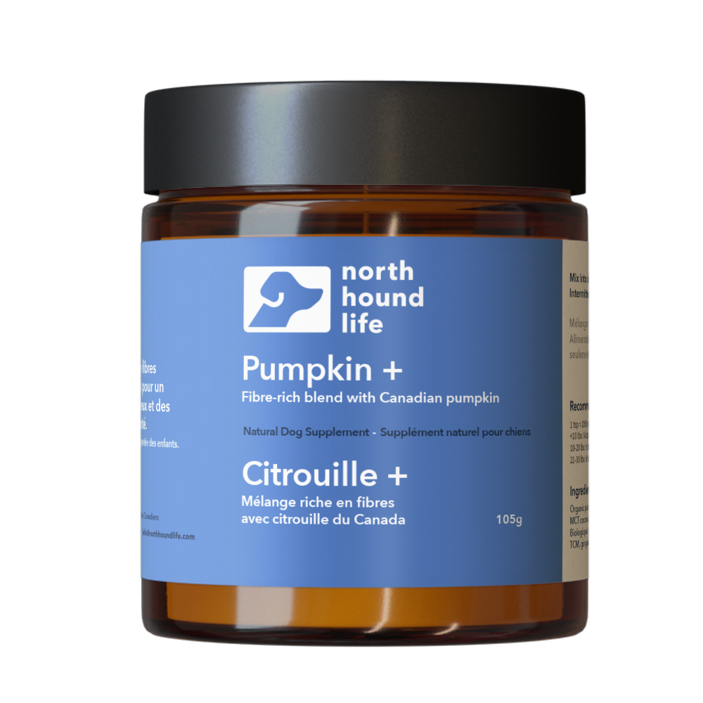 North Hound Life Pumpkin+ jar front