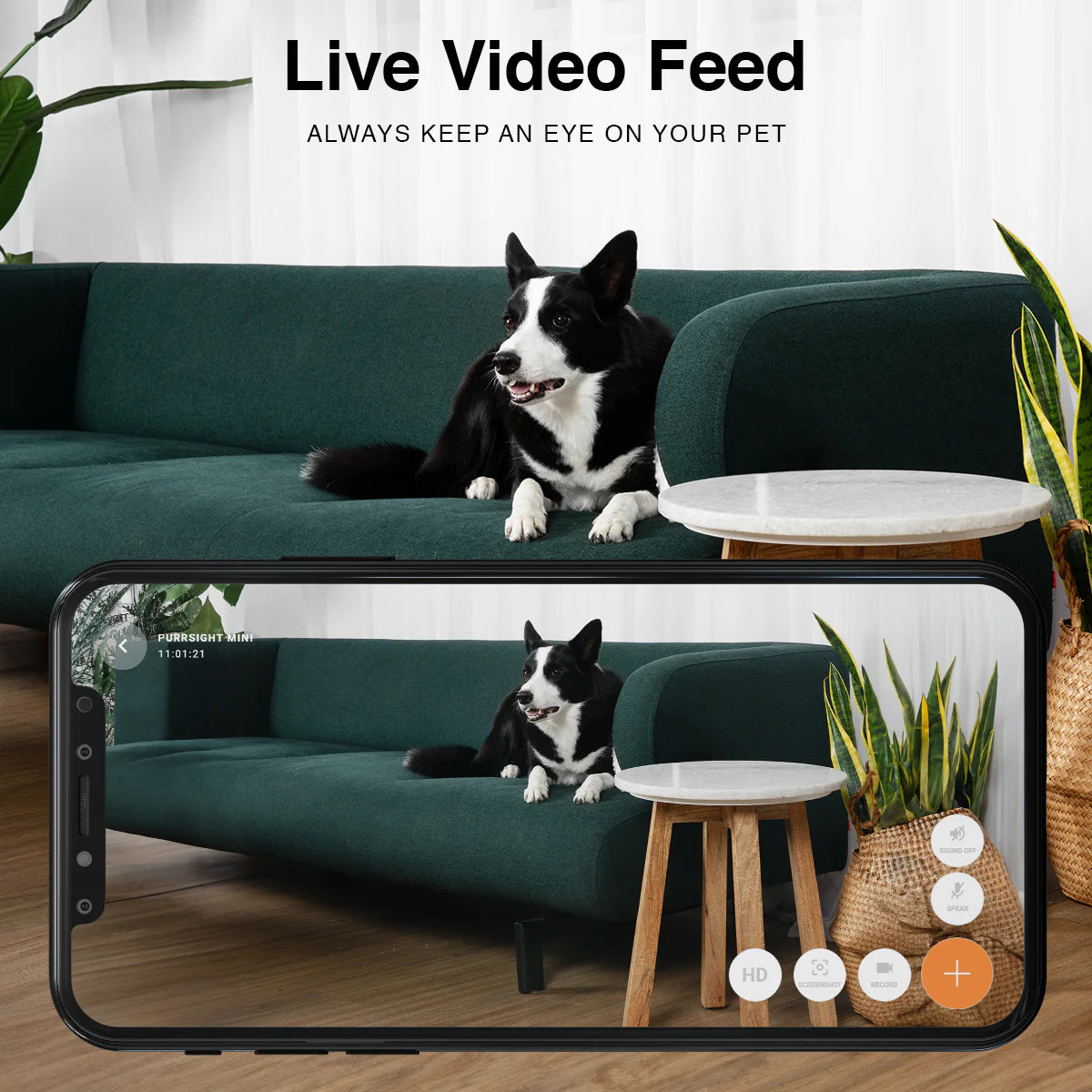 Instachew Purrsight Mini Smart App Enabled Camera with 2 Way Audio for Cats and Dogs