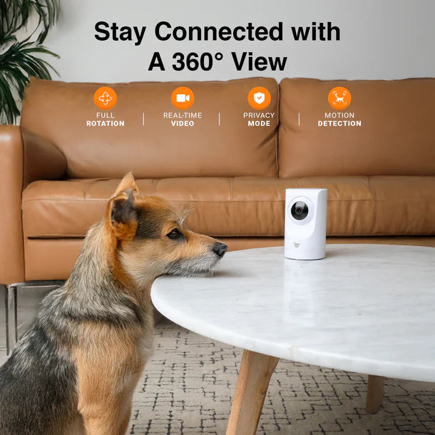 Instachew Purrsight 360° Smart App Pet Camera with Night Vision and 2 Way Audio