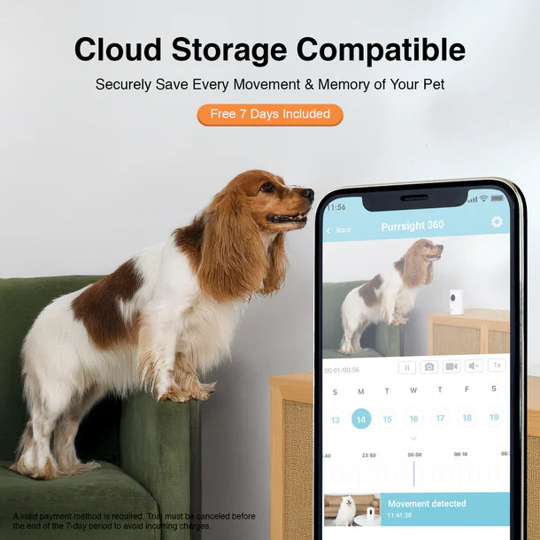 Instachew Purrsight 360° Smart App Pet Camera with Night Vision and 2 Way Audio