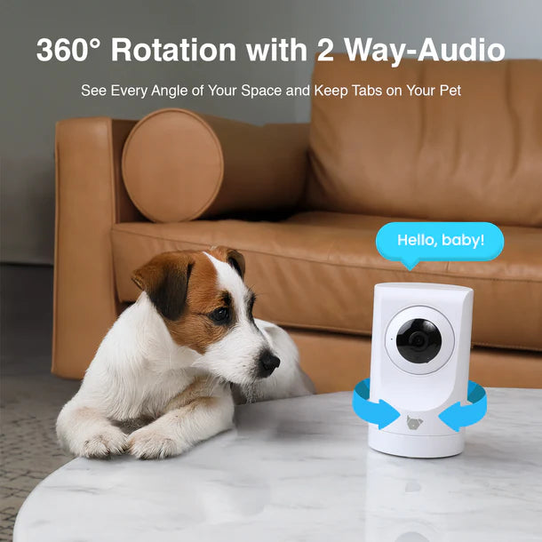 Instachew Purrsight 360° Smart App Pet Camera with Night Vision and 2 Way Audio