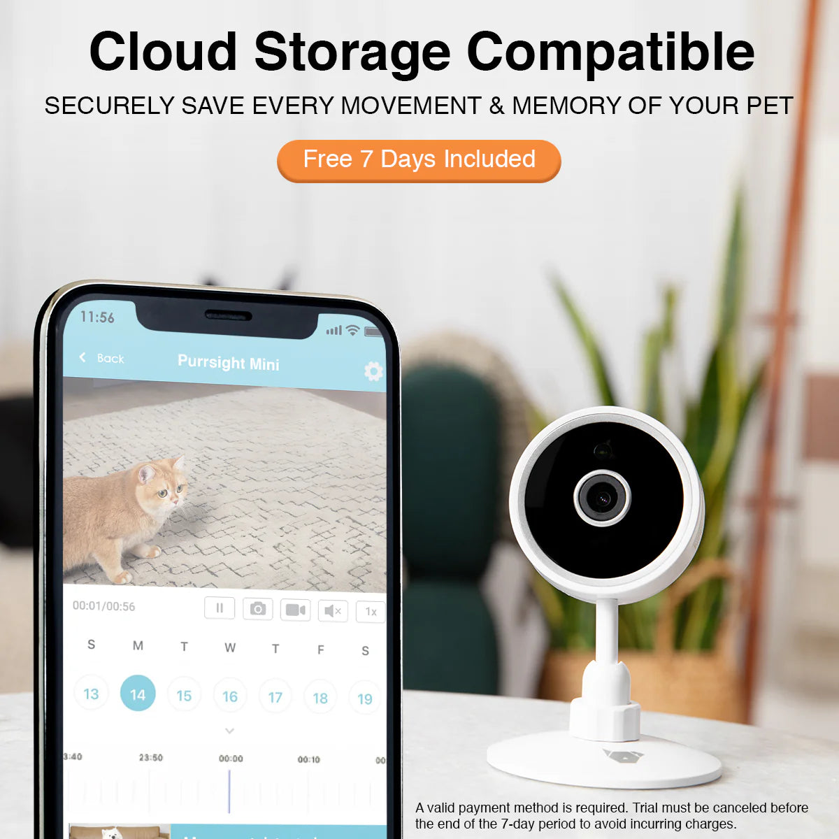 Instachew Purrsight Mini Smart App Enabled Camera with 2 Way Audio for Cats and Dogs