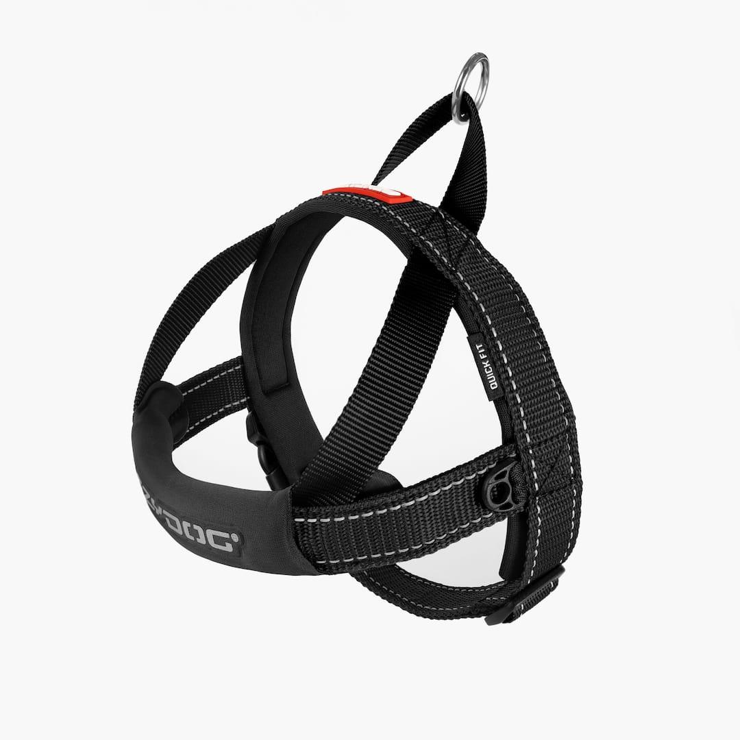 EzyDog Quick Fit Dog Harness – Black, Medium