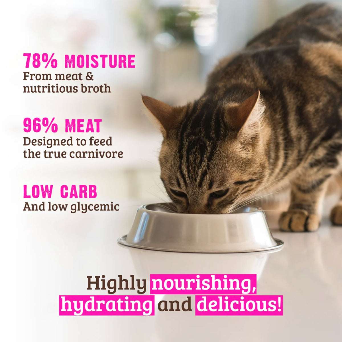 RAWZ 96% Duck & Duck Liver Pâté Wet Cat Food – lifestyle