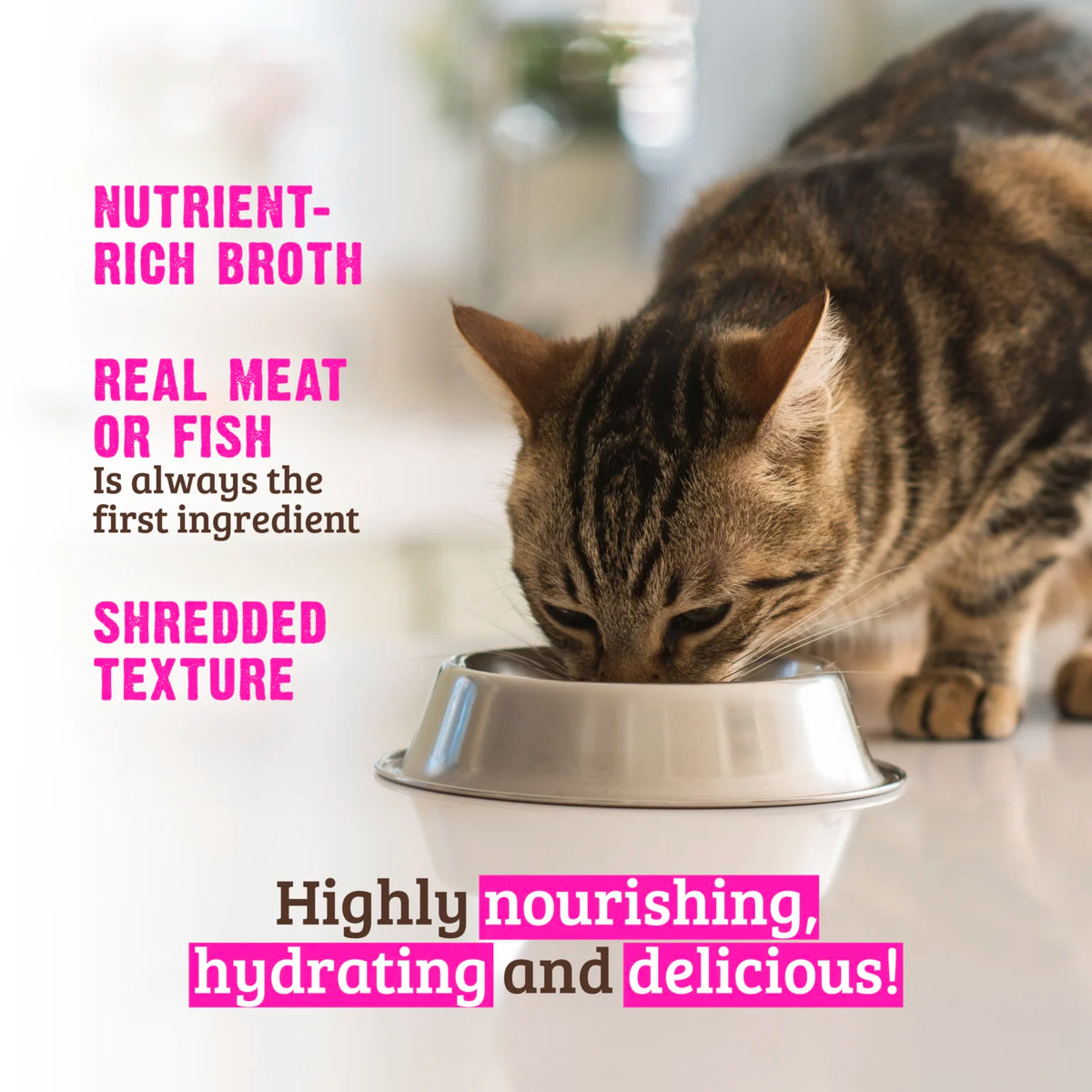 RAWZ Shredded Chicken Recipe Wet Cat Food – lifestyle