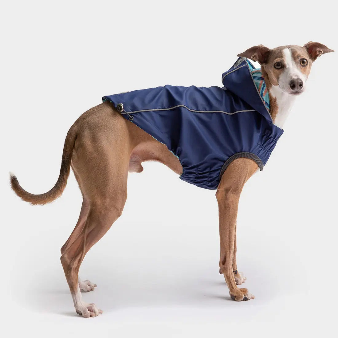 GF Pet Reversible Dog Raincoat Navy