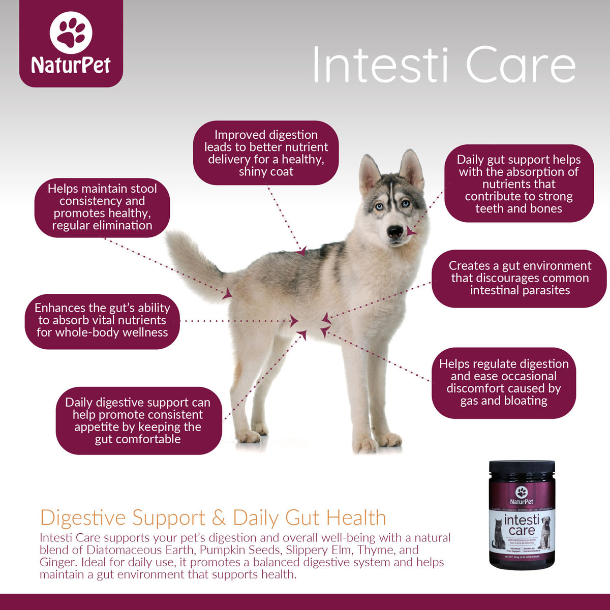 NaturPet Intesti Care Powder for Cats & Dogs – 165 g