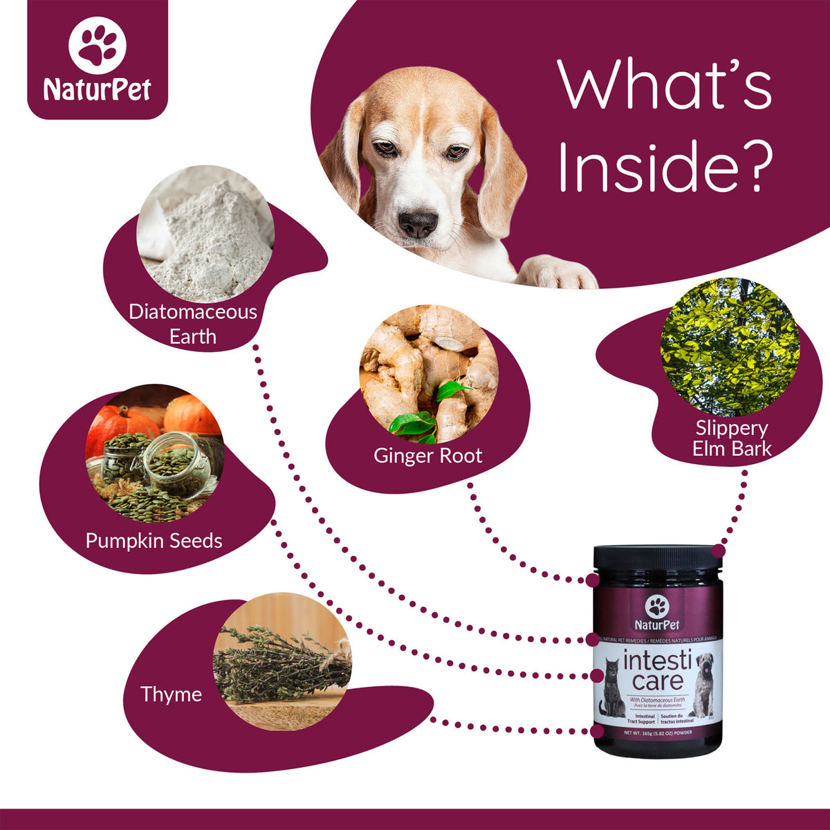 NaturPet Intesti Care Powder for Cats & Dogs – 165 g