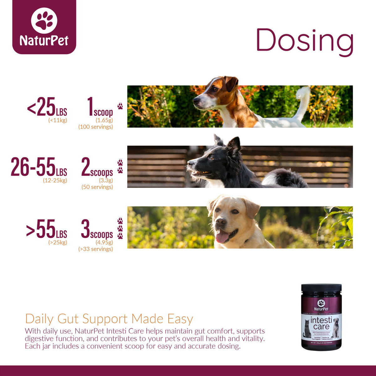 NaturPet Intesti Care Powder for Cats & Dogs – 165 g