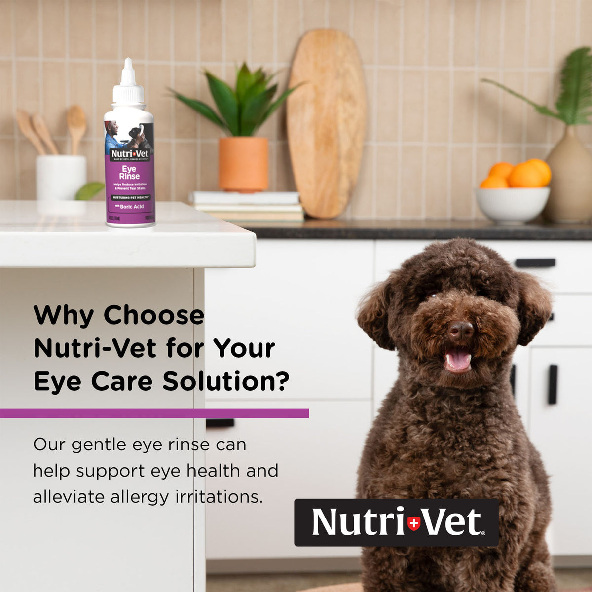 Nutri-Vet Eye Rinse For Dogs 4 oz