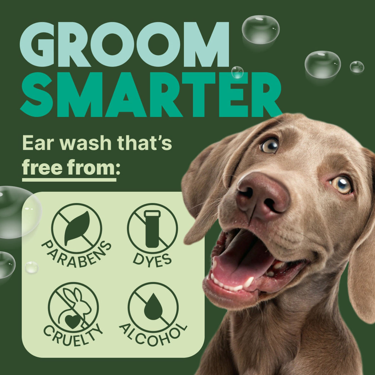 TropiClean Alcohol-Free Ear Wash for Dogs & Cats – 4 fl oz