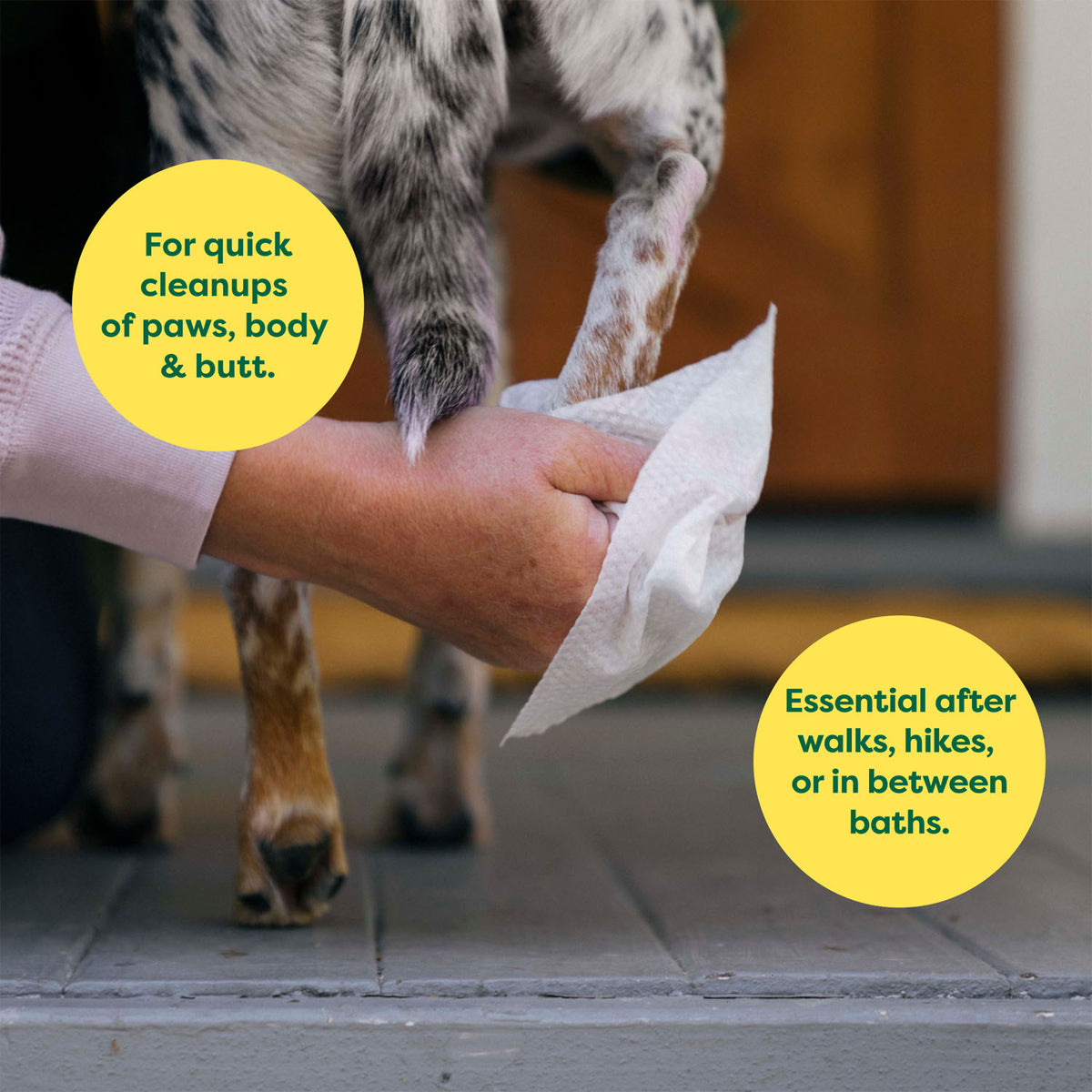 Earth Rated Compostable Lavender Pet Wipes – 8 x 8 in, 100 Pack