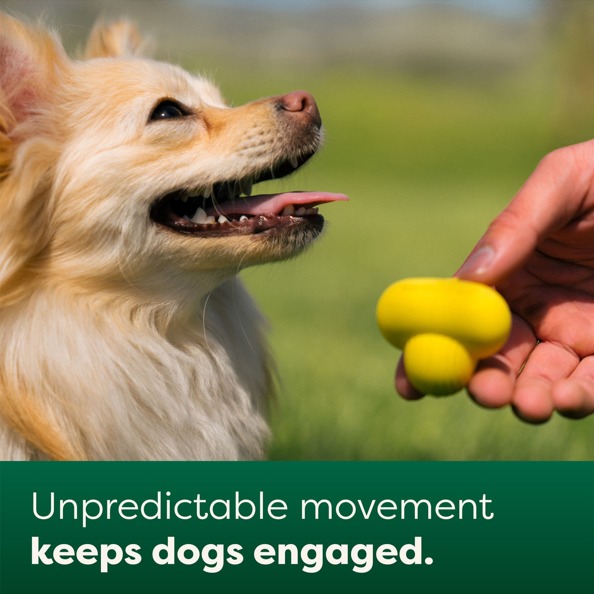 Earth Rated Natural Rubber Fetch Toy for Dogs – Yellow, Small
