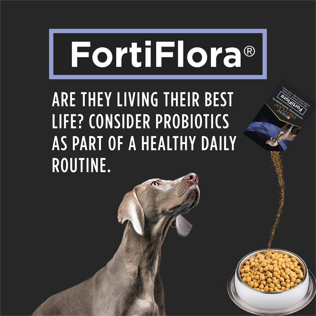 Purina Pro Plan FortiFlora Canine Probiotic 30 x 1 g