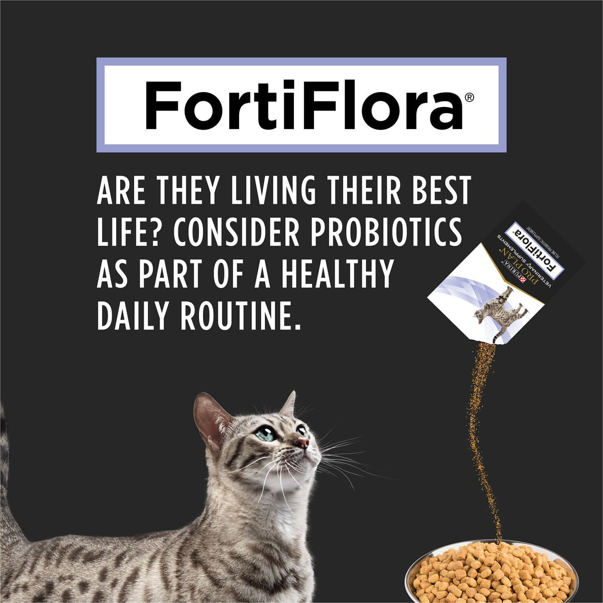 Purina Pro Plan FortiFlora Probiotic Supplement for Cats – 30 g
