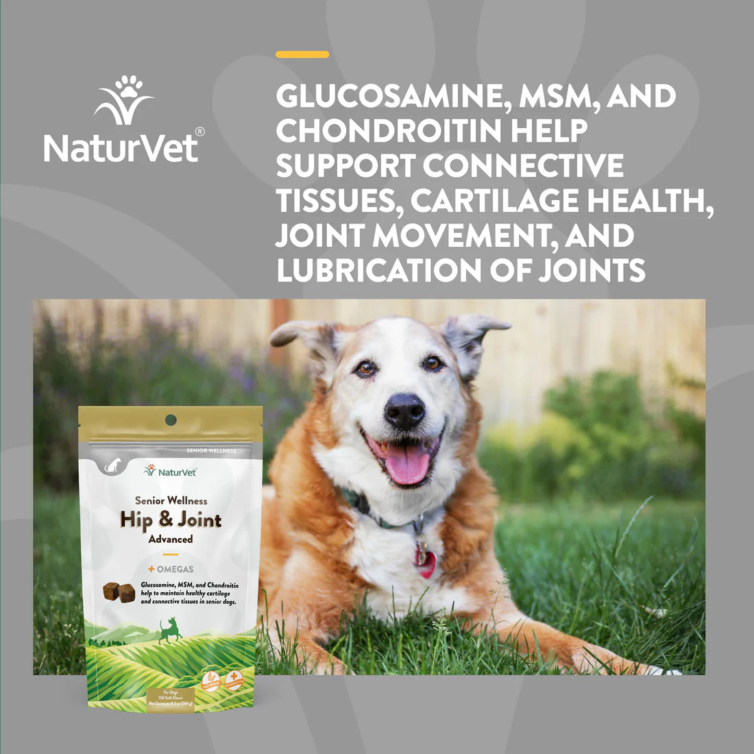 NATURVET Soft Chew Advanced Senior Hip & Joint 120CT