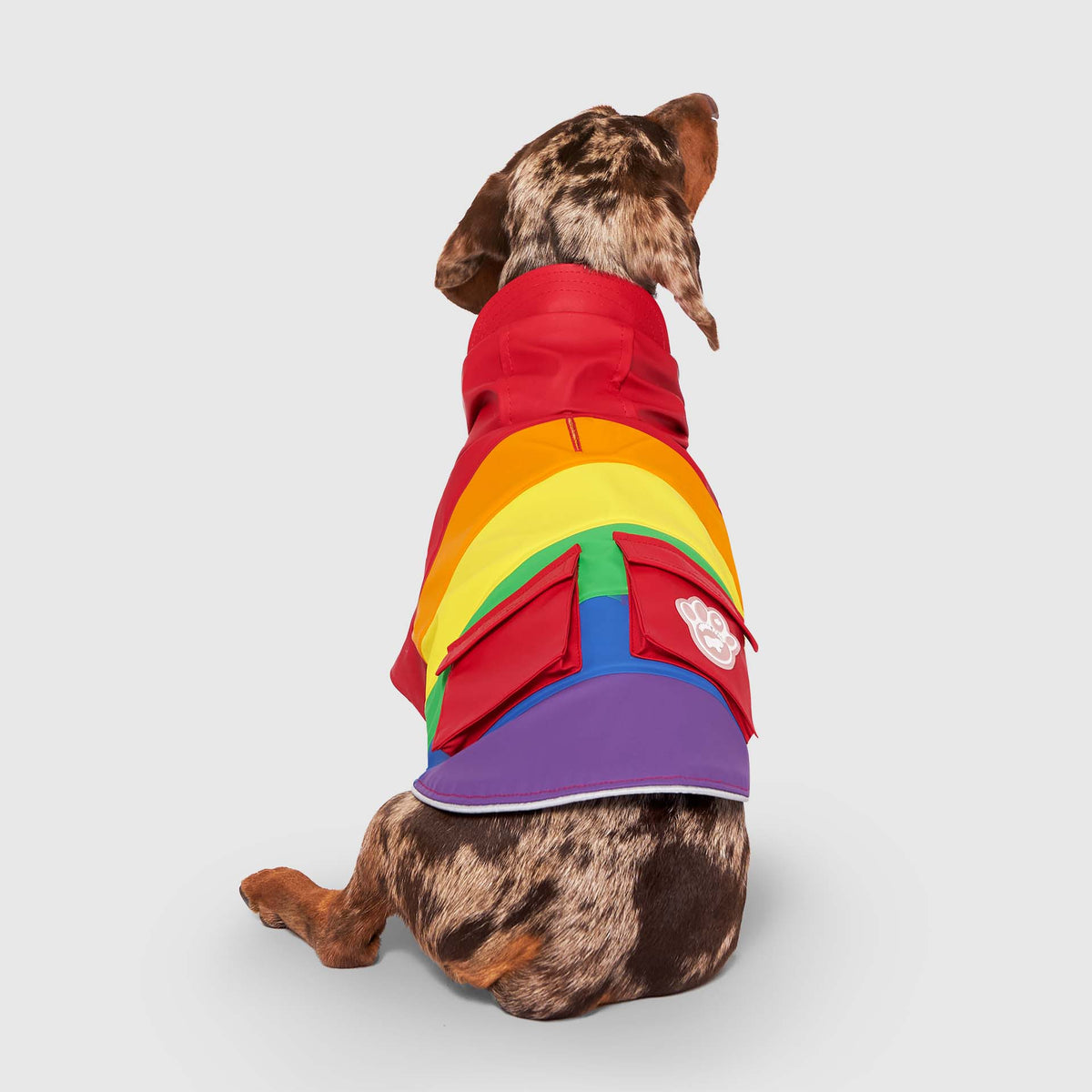 Canada Pooch Torrential Tracker Dog Raincoat – Rainbow