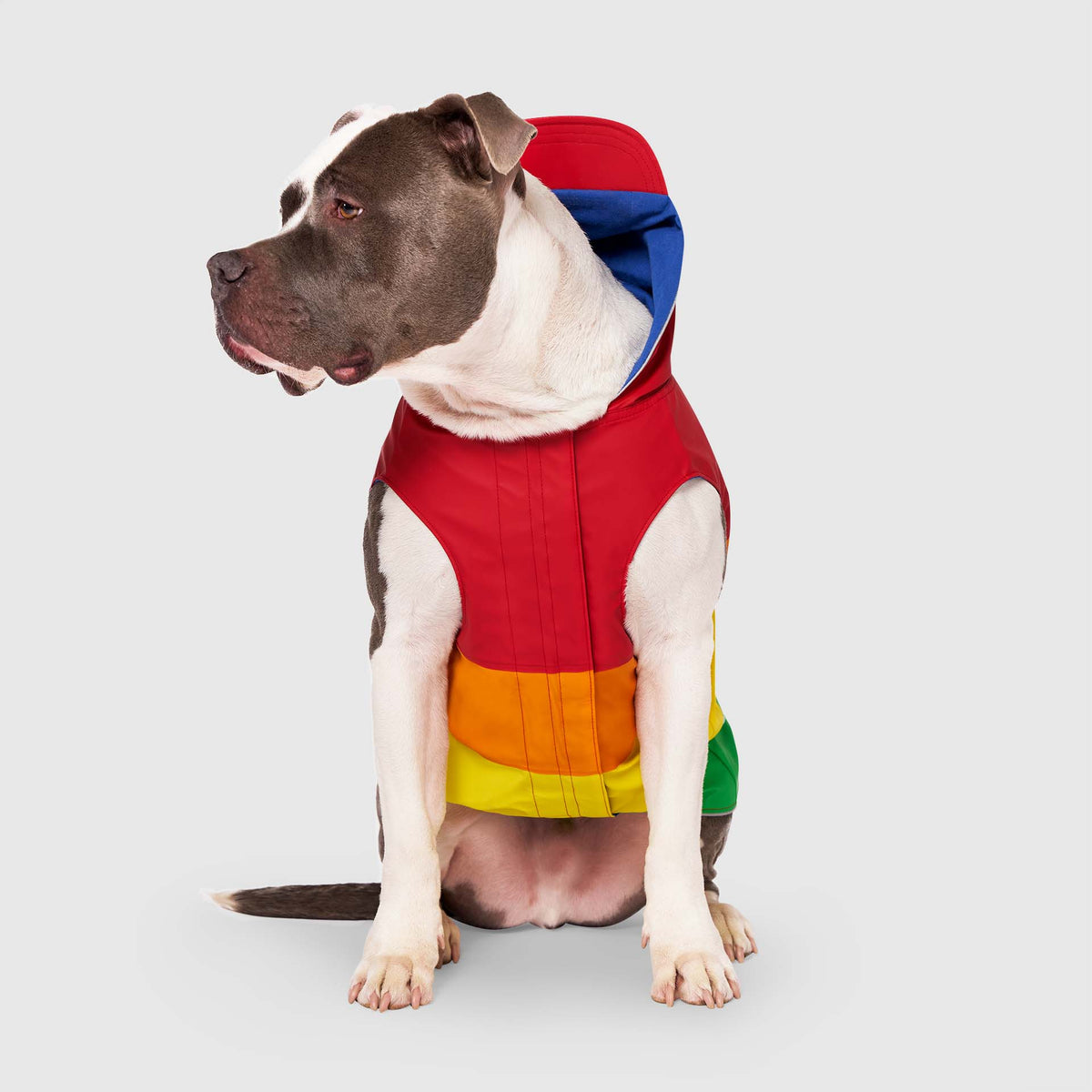 Canada Pooch Torrential Tracker Dog Raincoat – Rainbow