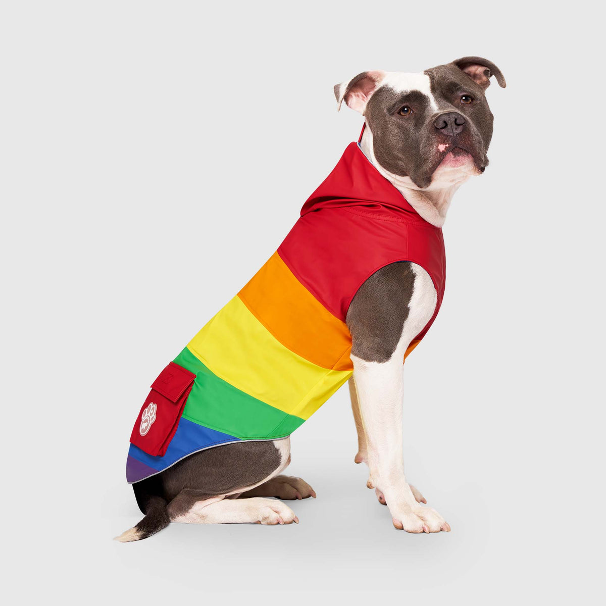 Canada Pooch Torrential Tracker Dog Raincoat – Rainbow