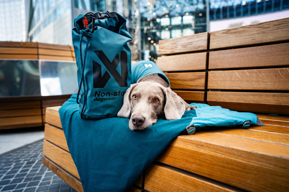 Non-stop dogwear Trekking Dog Bed – Dark Teal