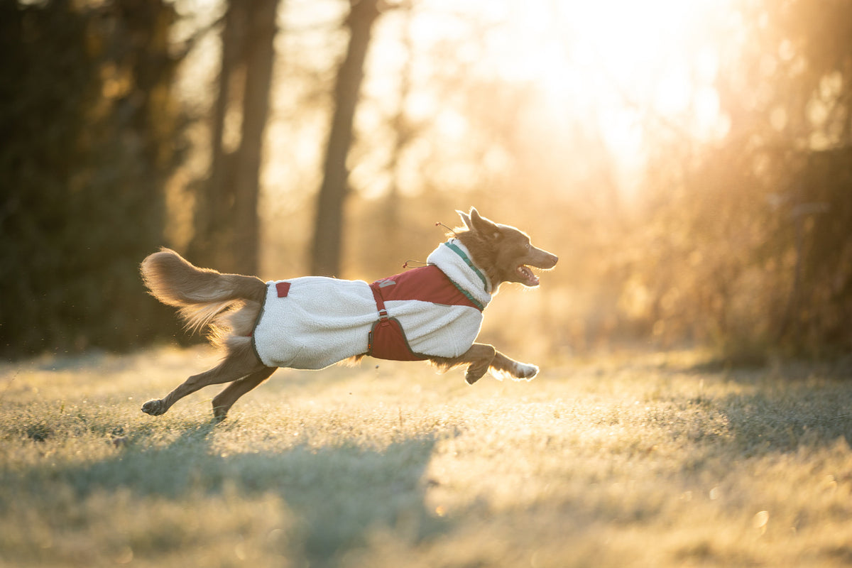 Non-stop dogwear Trekking Fleece Dog Jacket