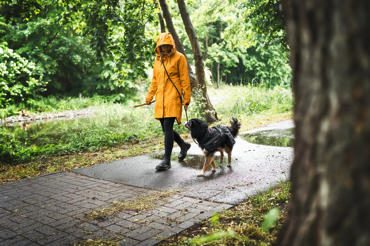 Non-stop dogwear Trekking Dog Raincoat – Black