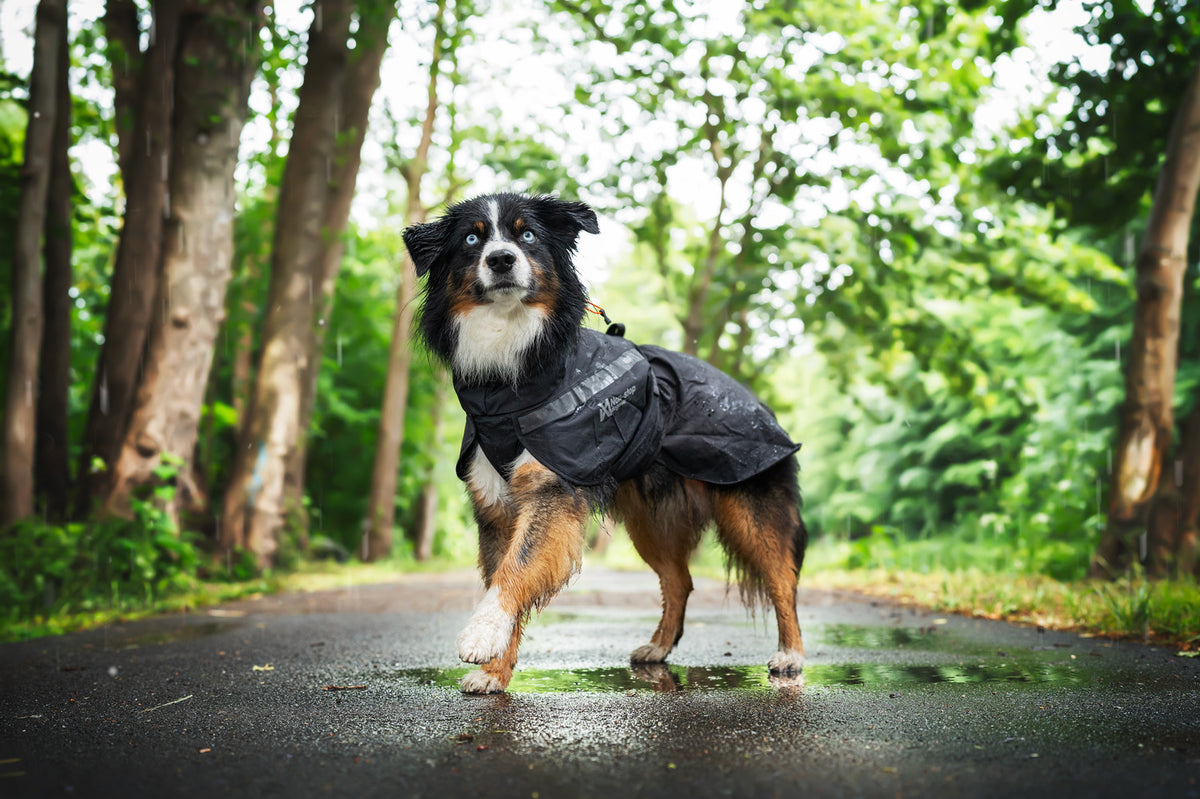 Non-stop dogwear Trekking Dog Raincoat – Black