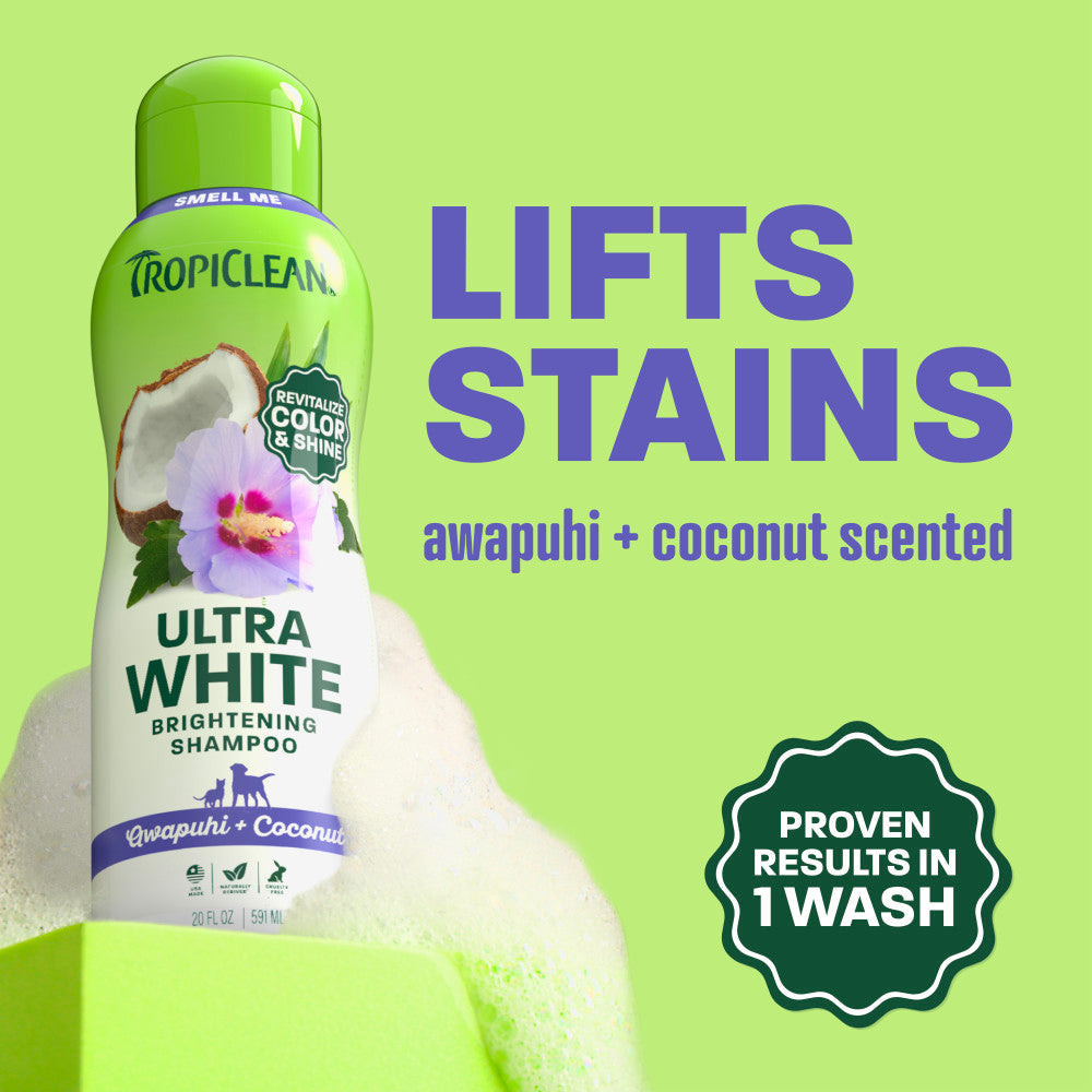 TropiClean Awapuhi & Coconut Whitening Shampoo for Dogs & Cats – lifestyle image