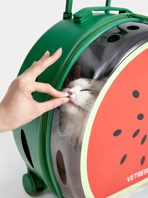 Vetreska Bubble Pet Carrier Watermelon