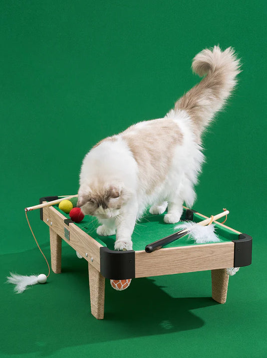 Vetreska Meownooker Cat Toy Set | Pool Table for cats