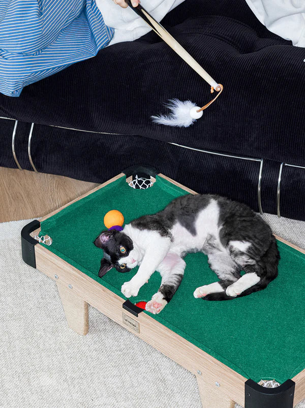 Vetreska Meownooker Cat Toy Set | Pool Table for cats