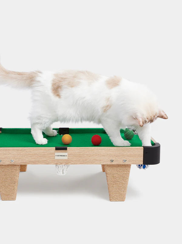 Vetreska Meownooker Cat Toy Set | Pool Table for cats