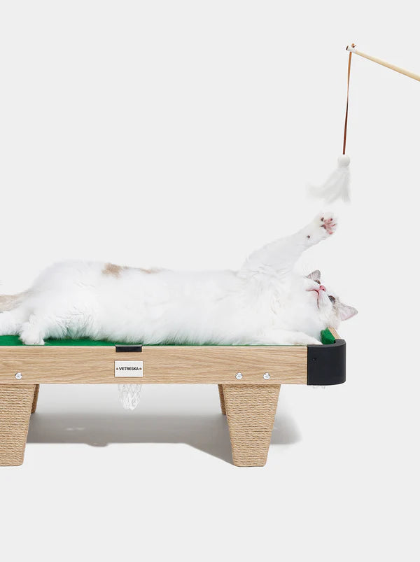 Vetreska Meownooker Cat Toy Set | Pool Table for cats