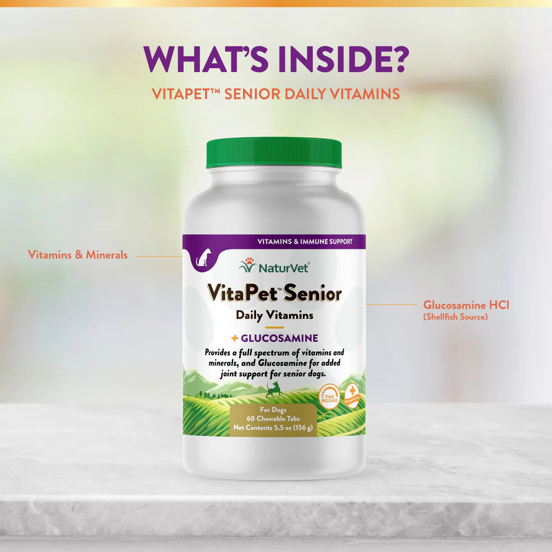 NATURVET VitaPet Daily Vitamin Tabs 60PK | Senior