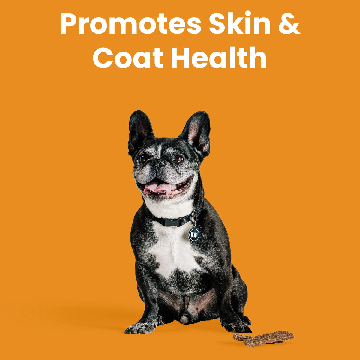 BIXBI Skin & Coat Jerky Treats