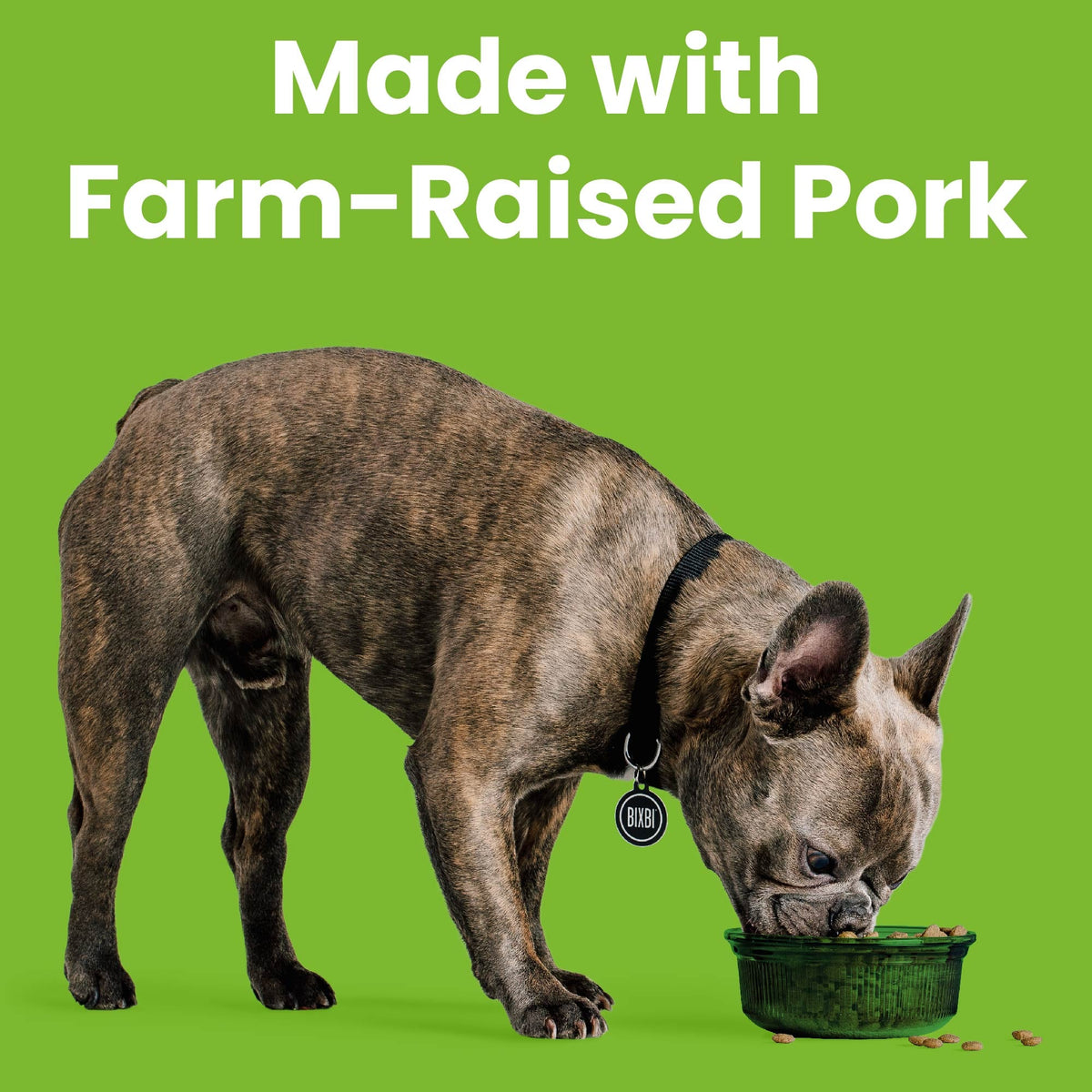 BIXBI Rawbble Dry Dog Food Pork Recipe