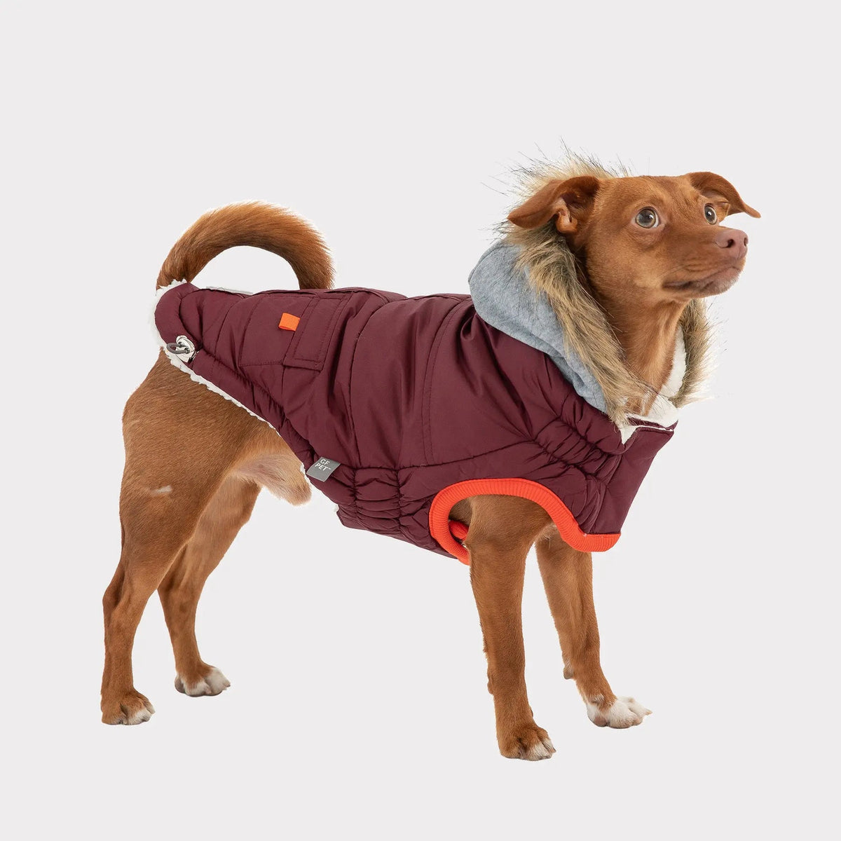 GF Pet Winter Sailor Dog Parka Burgundy
