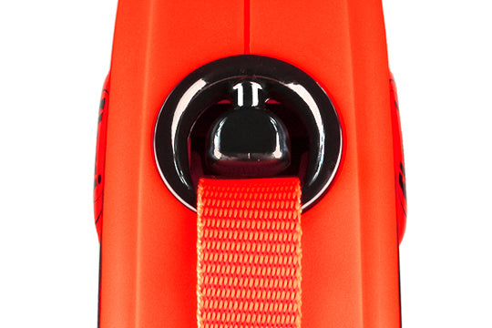 flexi Xtreme M Tape 5 m retractable leash (official image)