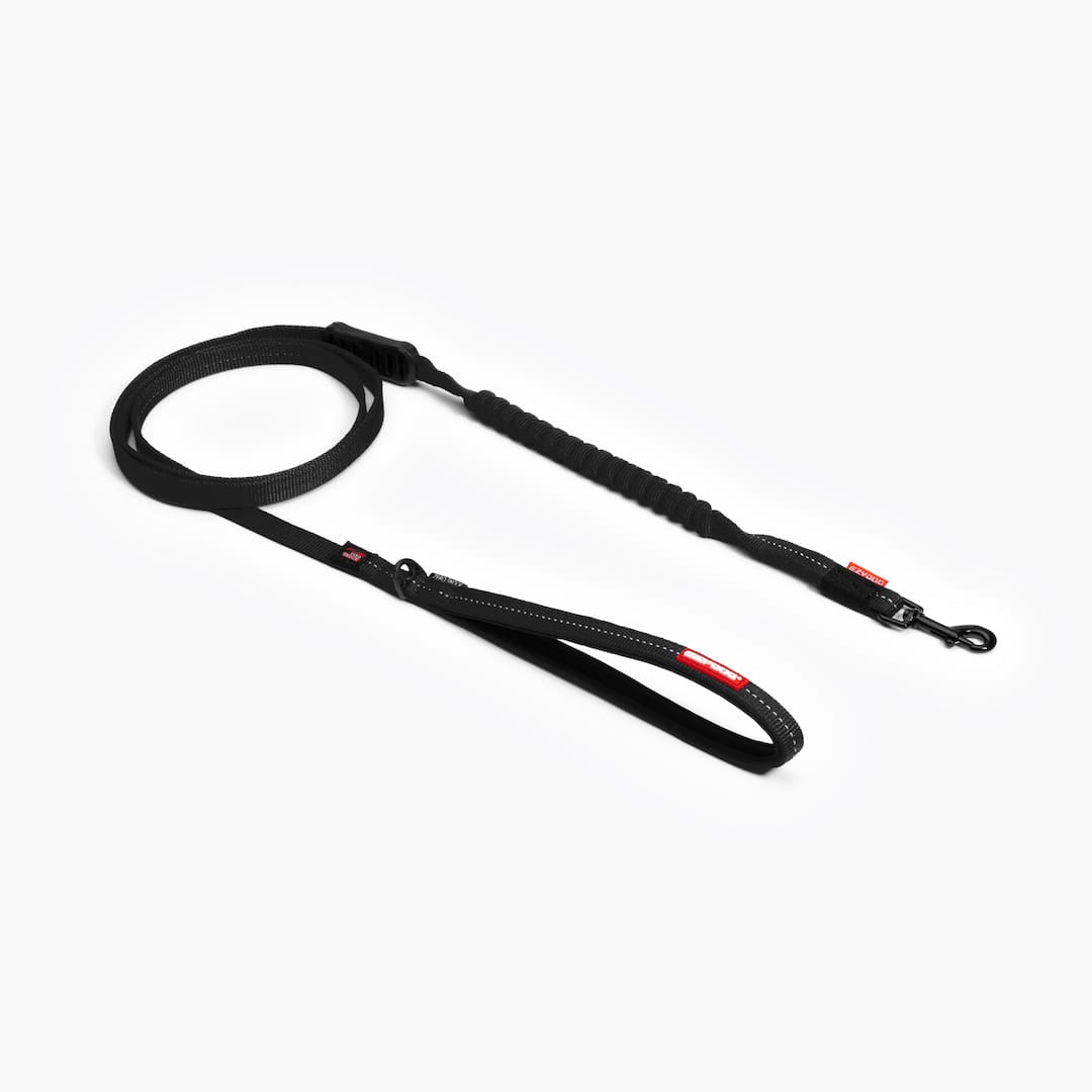 EzyDog Zero Shock Lite Shock-Absorbing Dog Leash for Small Breeds – Black, 6 ft