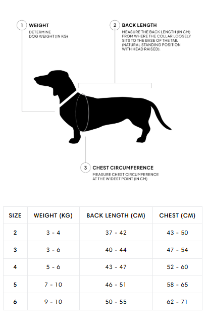 [Presale]Dachshund Raincoat AKTIV Neon Green/Light Olive