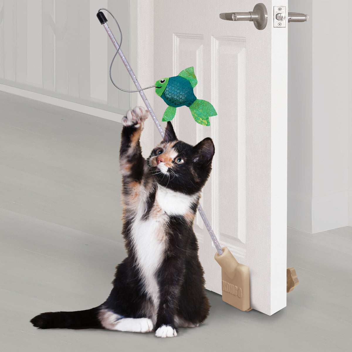 KONG Connects Angler Door Teaser packaging