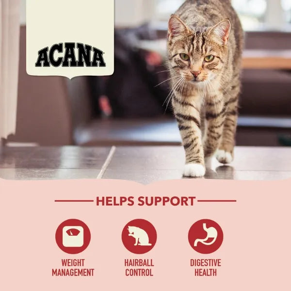 Acana Indoor Entrée Dry Food for Adult Cats