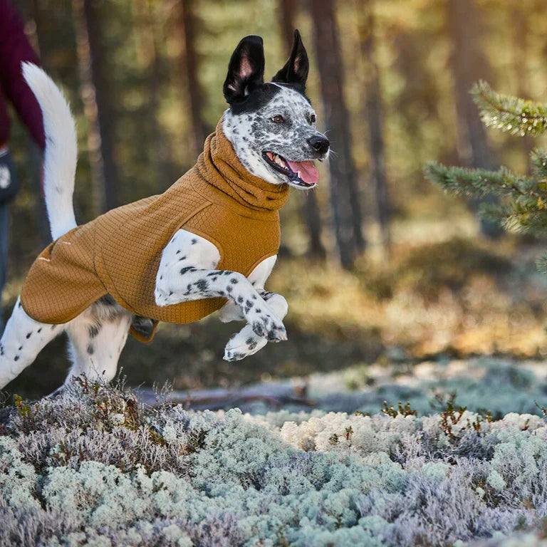 [Presale]Warming Midlayer ECO Dog Jacket
