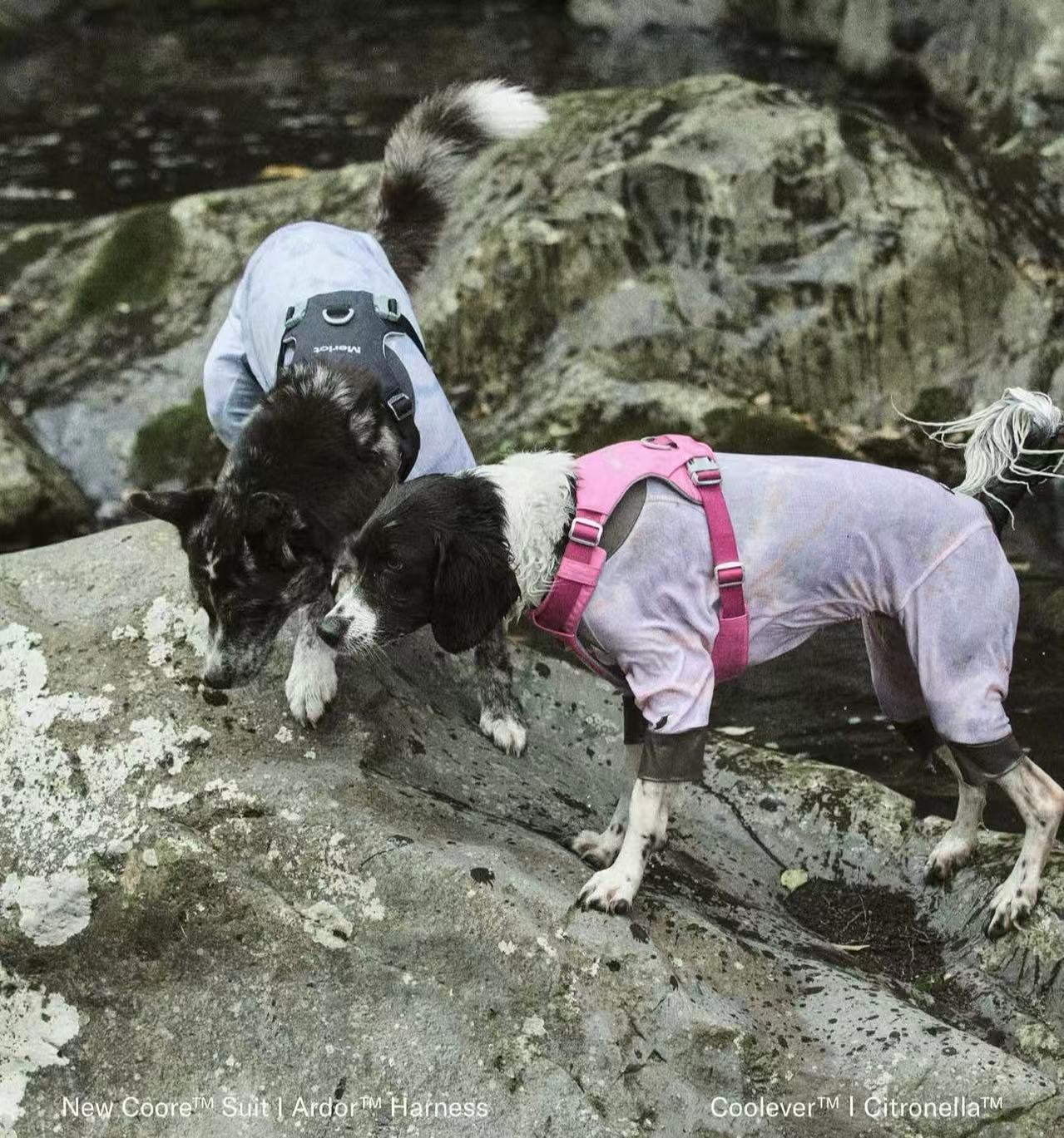 Merlot cooling vest and suit