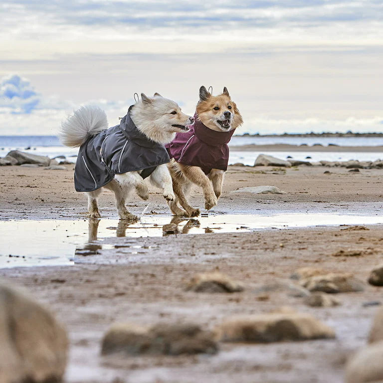 [Presale]Mudventure Dog Coat ECO