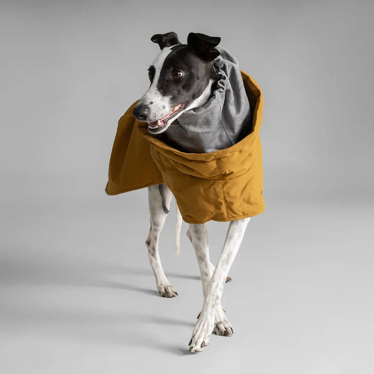 [Presale]Extreme Warmer III ECO