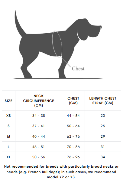 [Presale]Y-1 Harness AKTIV Air-Mesh Black