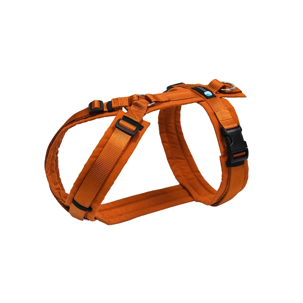 [Presale]Harness Fun Maple