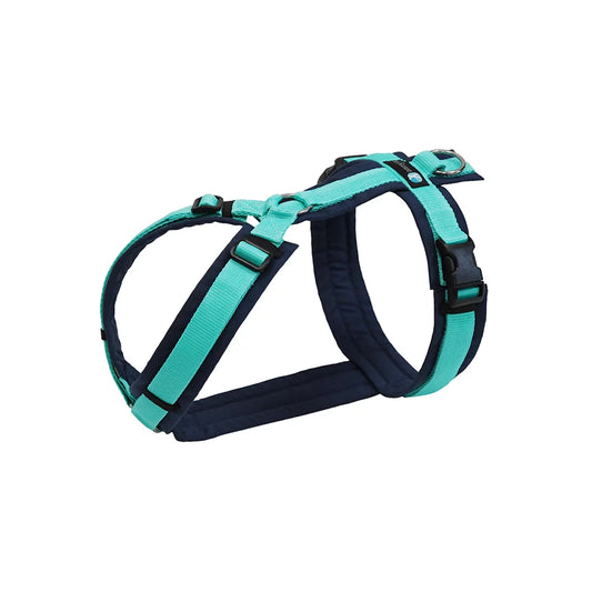 [Presale]Harness Fun Ocean